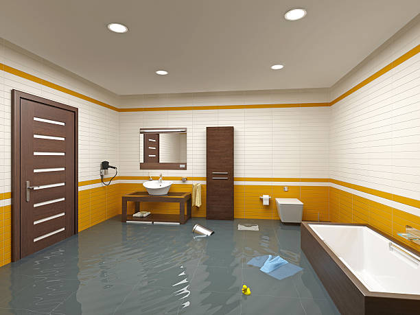 Best Basement Water Damage Restoration in Powell, TN